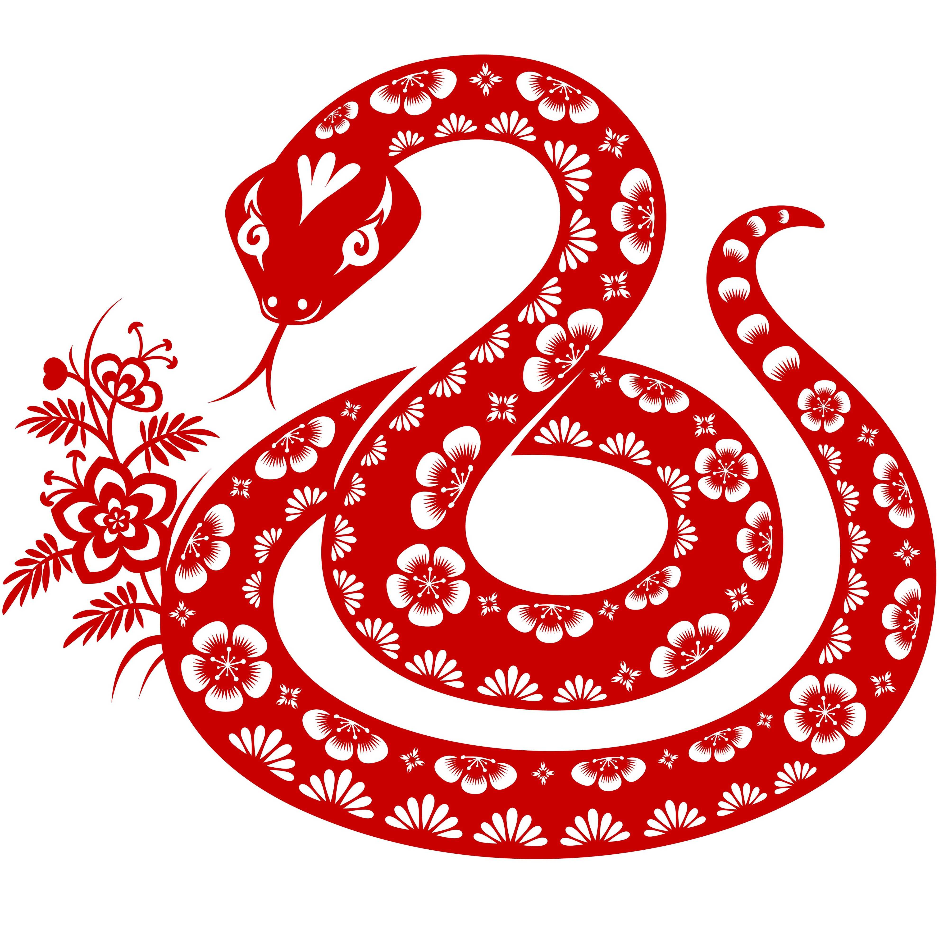 Змея в китайском гороскопе