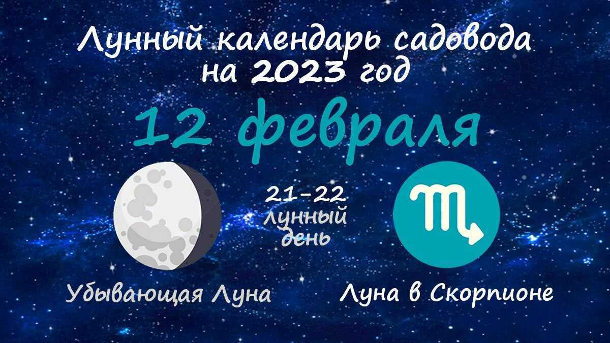 Фазы луны в феврале и марте. Фазы Луны в декабре 2023. Фазы Луны в феврале 2023. Фазы Луны в 2023 году. Календарь фаз Луны на 2023.