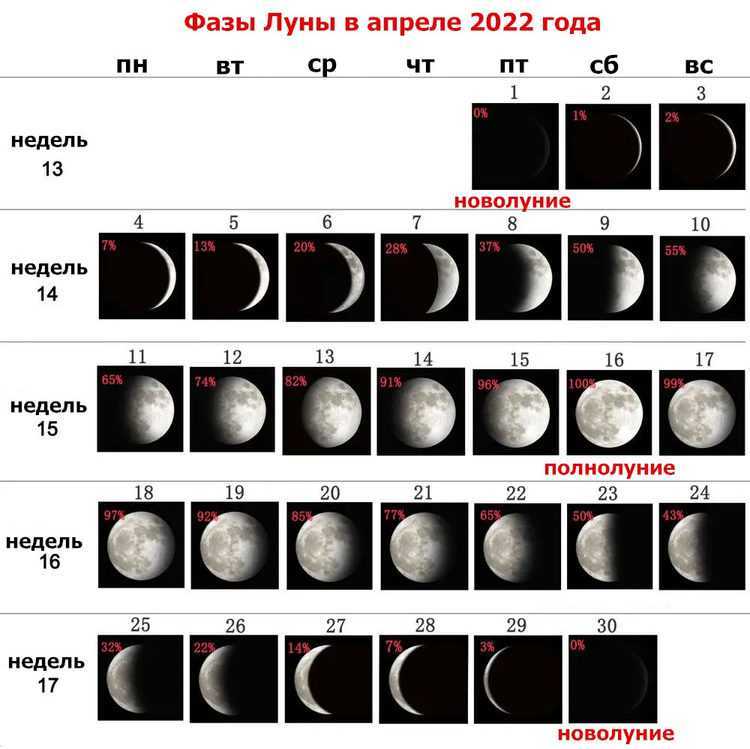 Лунный календарь стрижек на апрель 2023 года