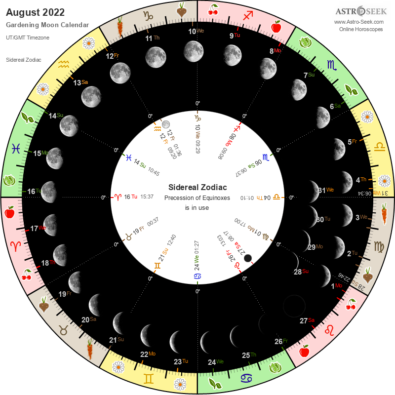Лунный календарь на август 2022 года | благоприятные дни в августе 2022