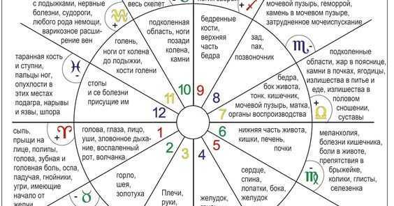 3 дом в ведической астрологии (джйотиш): значение, за что отвечает