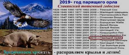 Славянский календарь животных — гороскоп по году и месяцу рождения