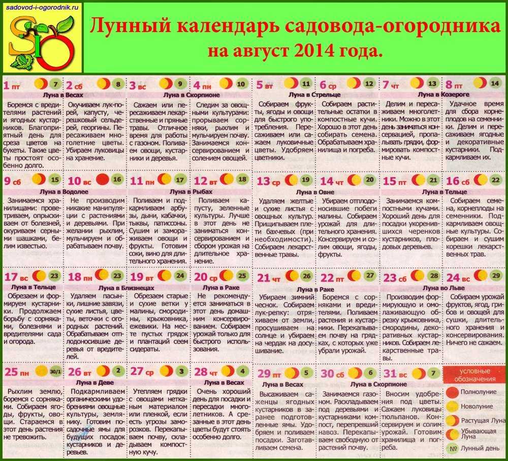 Лунный календарь