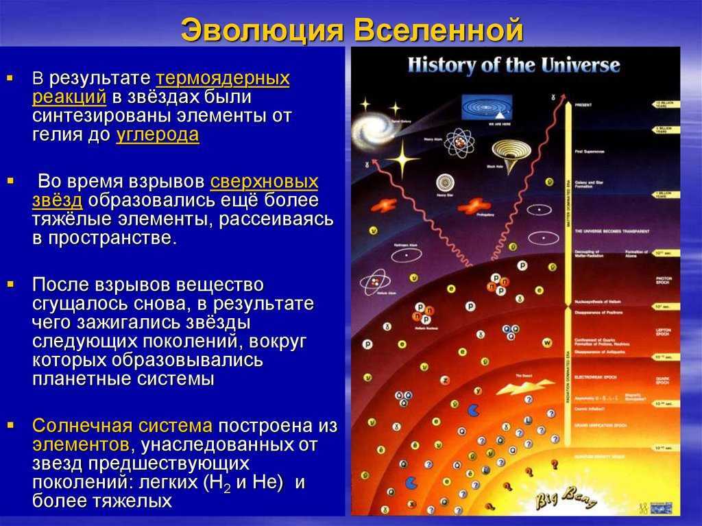 Гравитация, или на чём держится мир
