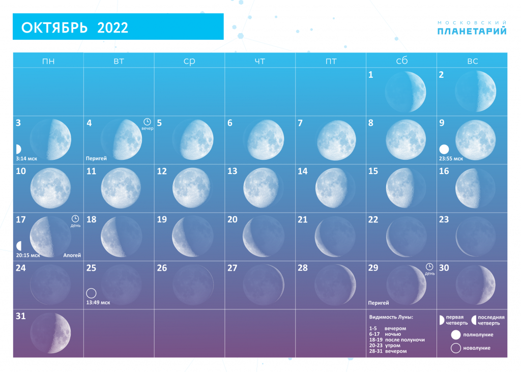 Лунный календарь садовода-огородника на ноябрь 2022 года. календарь-таблица: луна, знаки зодиака и растения