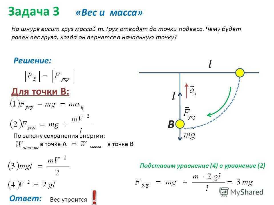 Почему собаки не могут прыгать так же высоко, как кошки