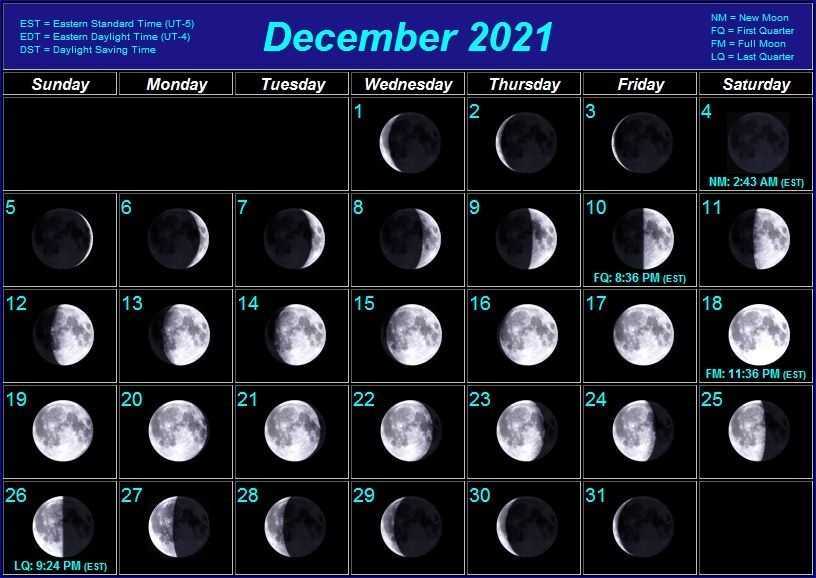 Лунный календарь повседневности: благоприятные дни для разных дел в августе 2021