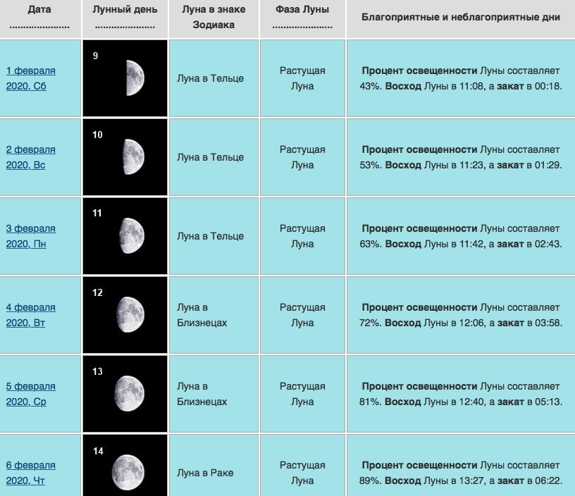 Лунный гороскоп — календарь на ноябрь 2021