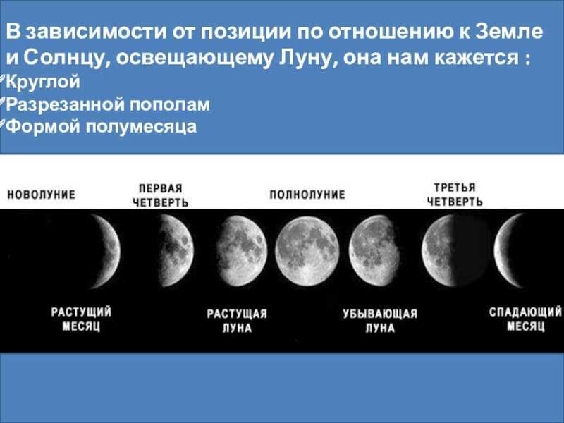 Луна с большой или маленькой. Луна по отношению к земле. Размер Луны по отношению к земле. ЛНА по отношению к земле. Соотношение Луны и солнца.