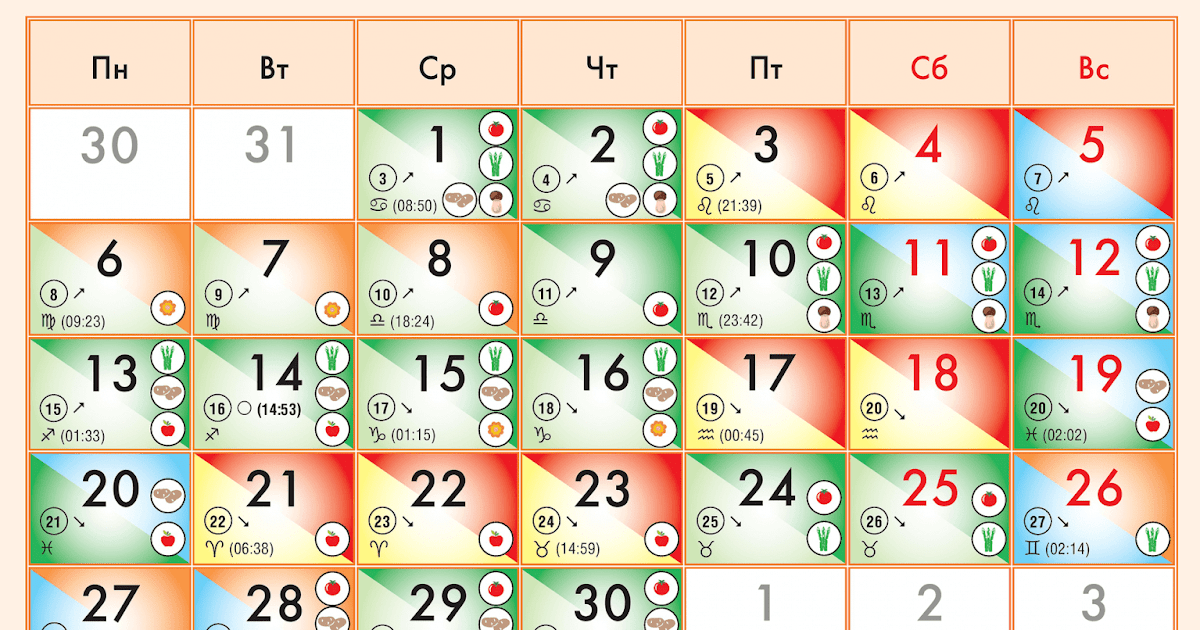 Пересадка июнь. Лунный календарь на июнь 2022. Лунный календарь июнь 2022 года календарь. Благоприятные дни для посева. Благоприятный день для посадки комнатных растений в июне 2022.