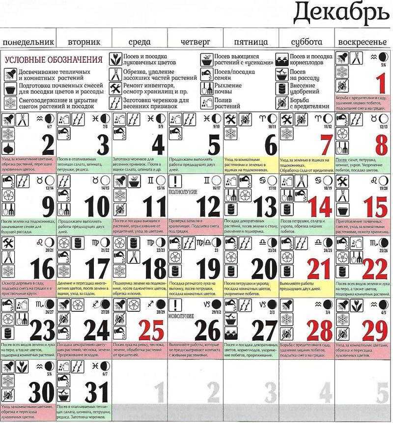Посевной календарь на декабрь 2019 года