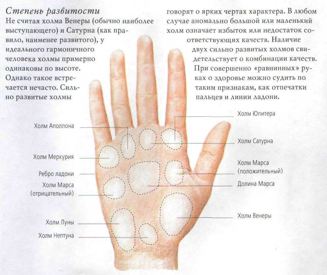 Почему чешется левая рука (ладонь, пальцы): приметы и суеверия