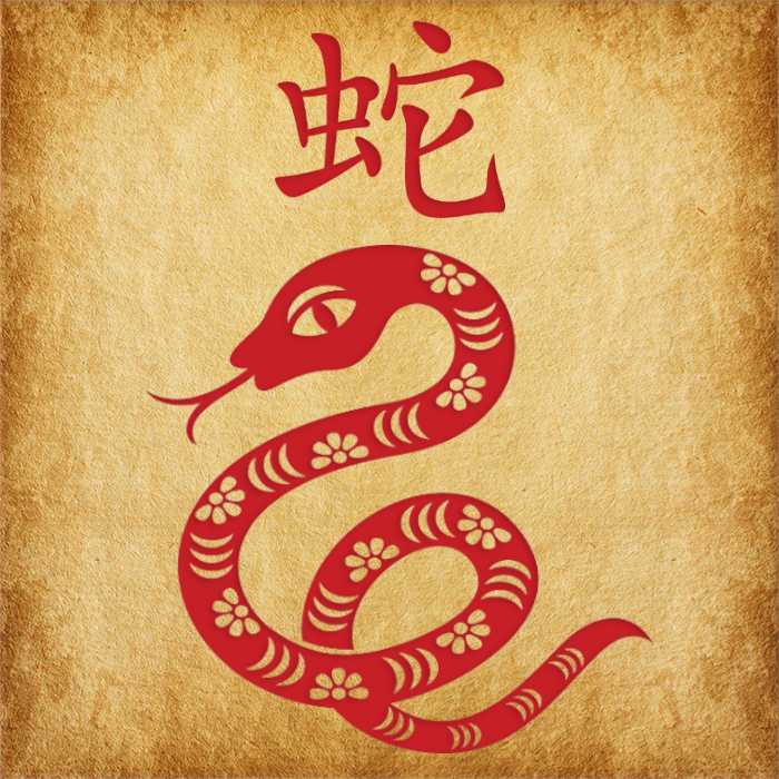 Год змеи: какие года рождения, характеристика знака