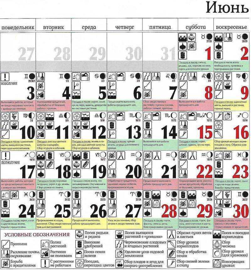 Лунный календарь и фазы луны в июле 2019 года, какая сегодня фаза