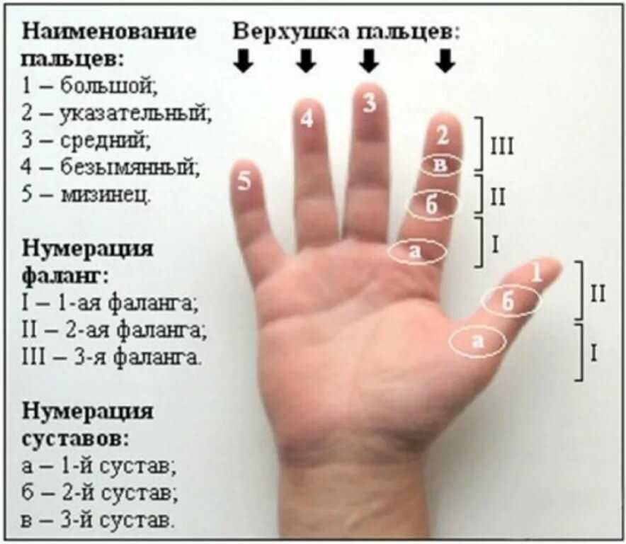 Чешется палец на правой или левой руке — приметы