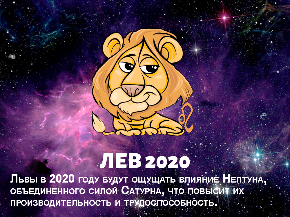 Любовный гороскоп на 2021 лев женщина. совместимость женщины лев. чего ожидать от 2019 года женщине знака лев?