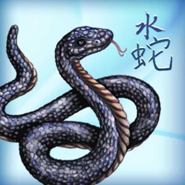 Год змеи в китайском гороскопе-какие года,характеристика,совместимость