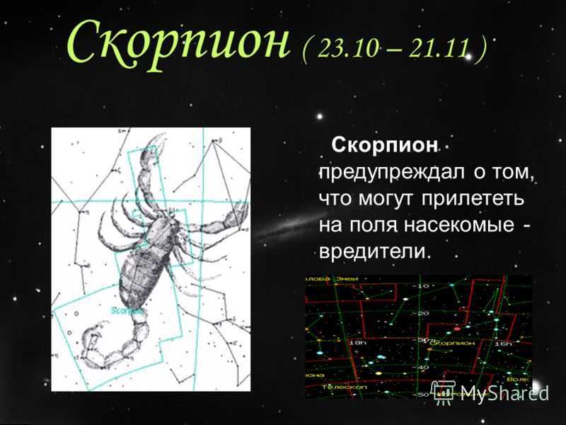 Топ-10 интересных фактов о созвездии скорпион
