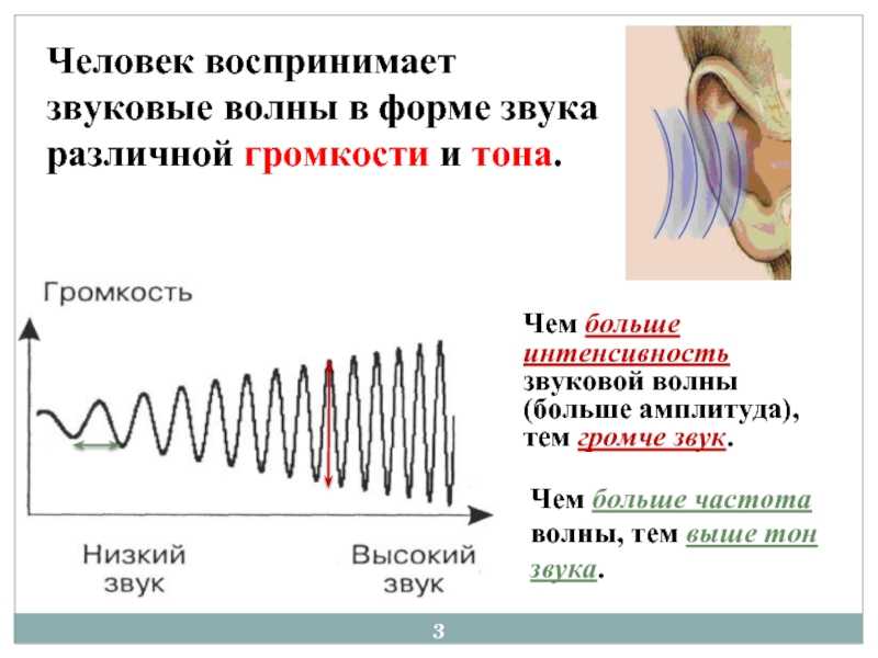 Частота звука называется. Частота звуковой волны. Амплитуда и частота звука. Громкость звуковой волны. Интенсивность звуковой волны частота.