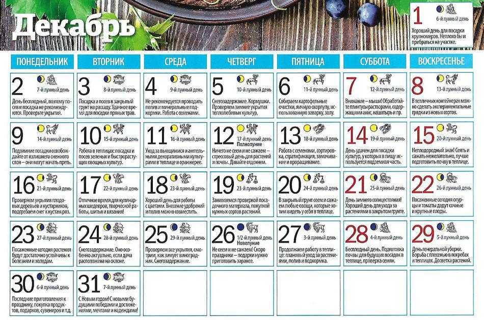 Лунный календарь повседневности: благоприятные дни для разных дел в декабре 2019 :: инфониак