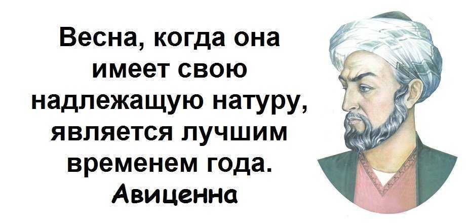 10 жестоких истин о жизни от зигмунда фрейда