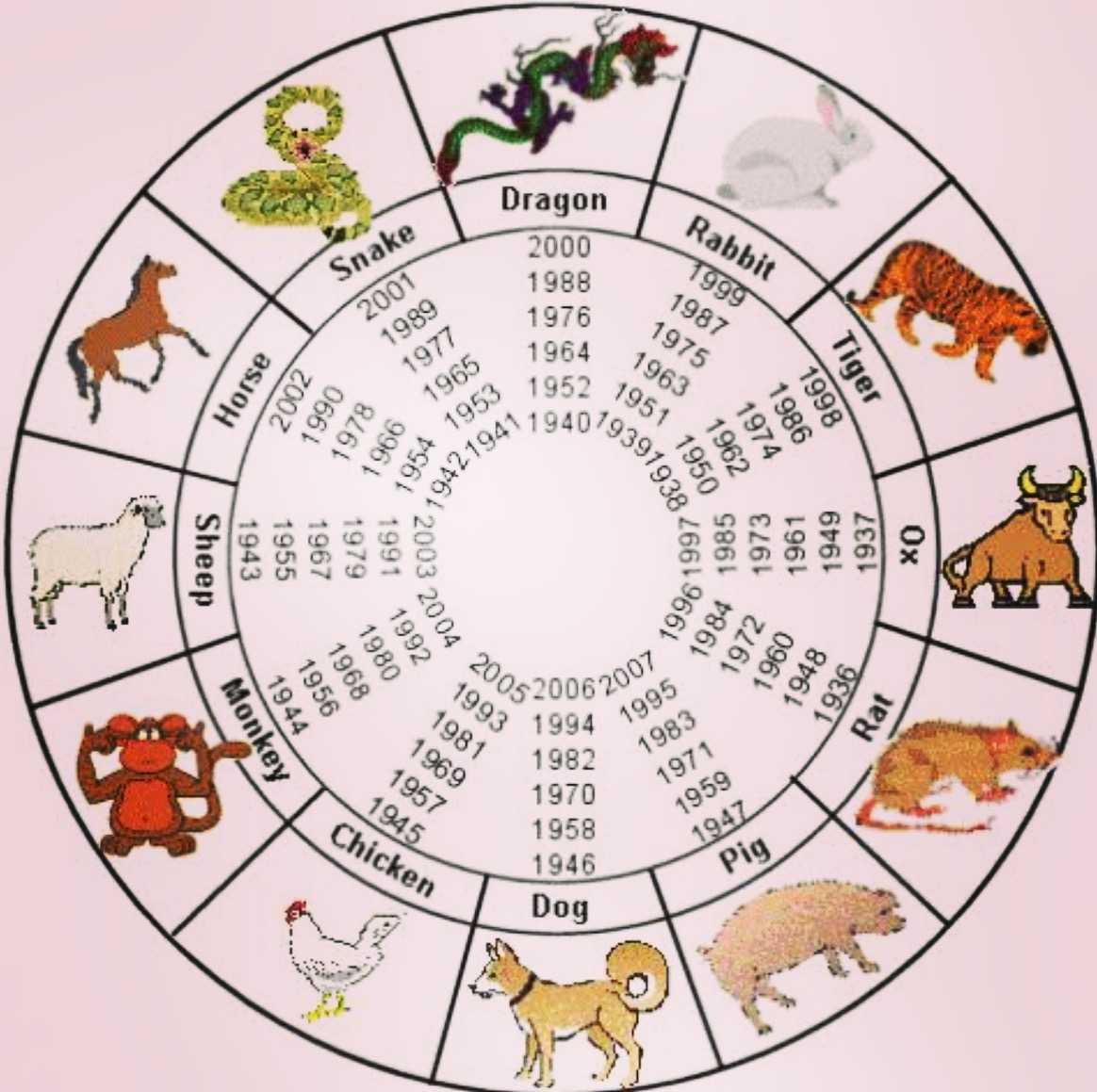 Китайский гороскоп: характеристика и описание знаков зодиака