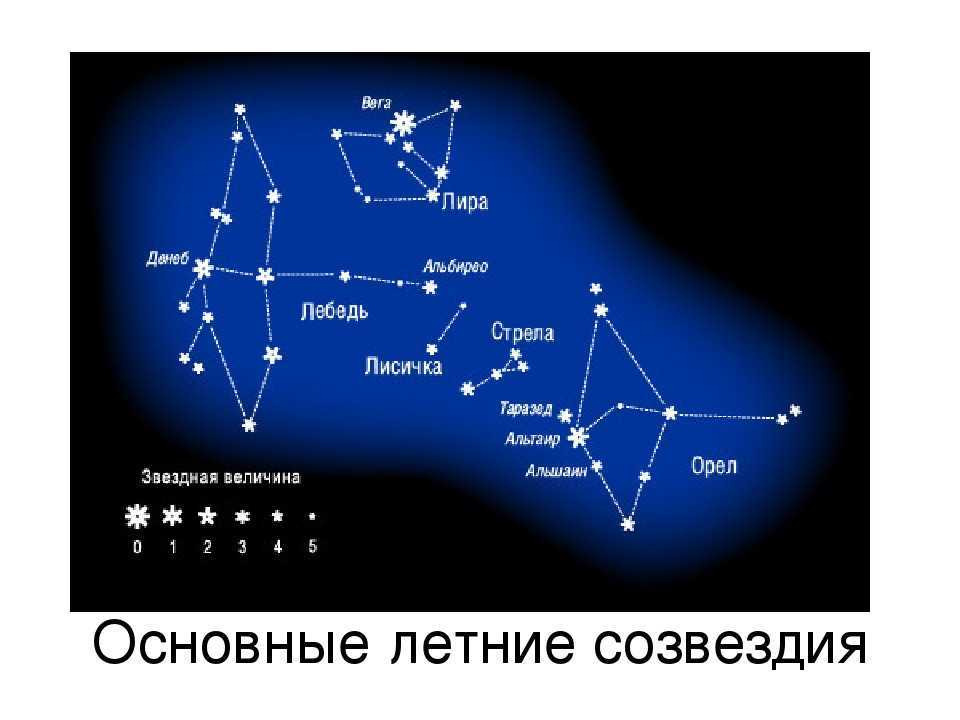 Площадь созвездия. Звезда Альтаир в созвездии орла. Астеризм созвездия Геркулес. Созвездие Альтаир на карте звездного неба. Созвездие Лисичка самая яркая звезда.