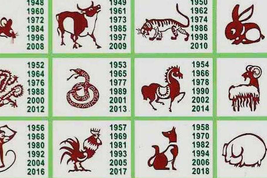 Тотемный славянский гороскоп по годам: узнай свое тотемное животное!