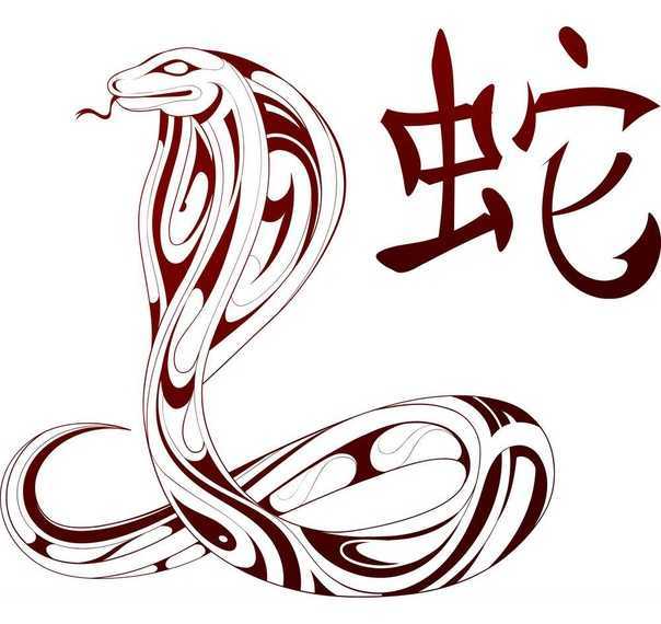 Совместимость змеи и змеи — подходят ли женщины-змеи и мужчины года змеи друг другу в любви, браке и дружбе по китайскому гороскопу